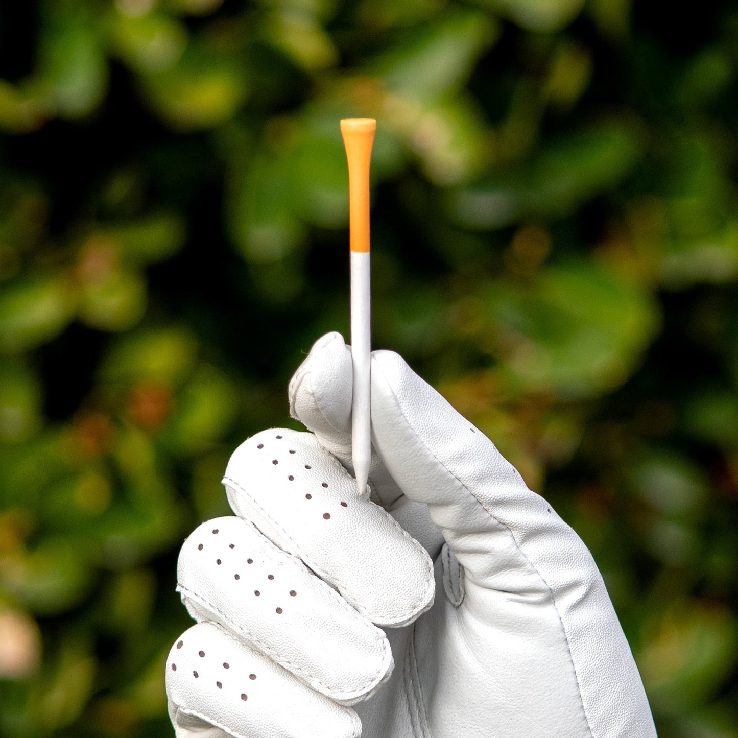 Royal Reds | Slender Cigarette-Style Bamboo Golf Tees - 50 Count
