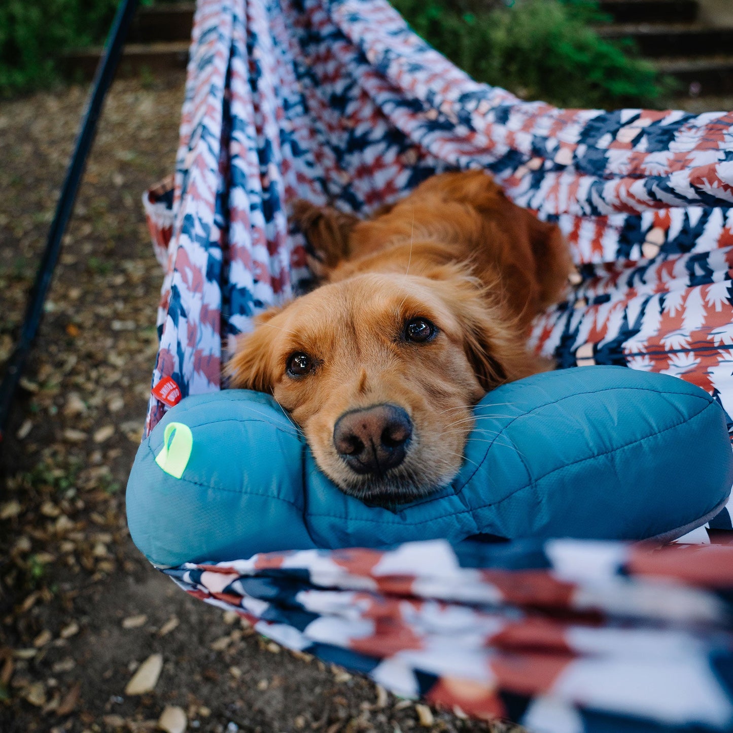 Siesta Hammock Pillow